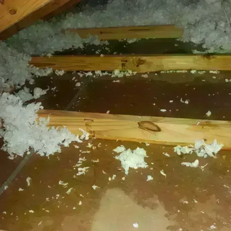 Attic Water Damage in Kinsley, KS